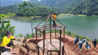Working every day, framing the roof of the hut, grazing pigs and ducks|Triệu Thị Hoa.Ep31