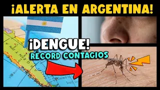 ¡ALERTA! ARGENTINA REGISTRA CIFRA RÉCORD DE CONTAGIOS DE DENGUE