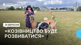 "Українські сири популярні закордоном": хто на Тернопільщині тримає кіз?