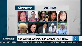 Key expert witness testifies in defence of van attacker Minassian