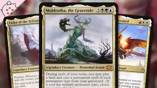 The Most Powerful Commanders on a Budget | Part 1 | EDH | Card Advantage | Magic the Gathering