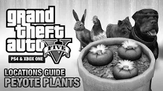 GTA V [PS4/XBOX/PC] UNLOCK ALL ANIMALS IN DIRECTOR MODE