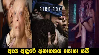 BIRD BOX 2018 | SINHALA MOVIE REVIEW | SINHALA FILM | SINHALA MOVIE | ITRIX