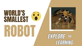 Smallest robot in the world - World's smallest remote controlled crab robot