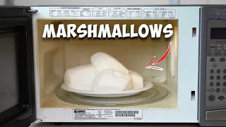 Marshmallows in Microwave Experiment