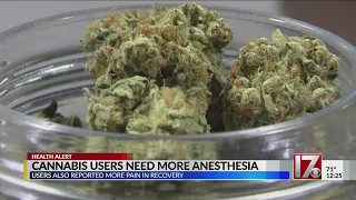 Study: Cannabis users need more anesthesia