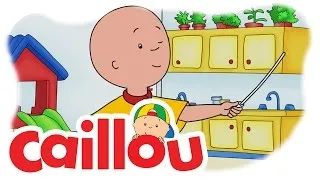 Caillou - Caillou Conducts  (S05E25) | Cartoon for Kids