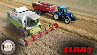 MOISSON DE BLÉ 2023🌾CLAAS MEGA 360-C660⚪️🔴TPAB🌾wheat harvest🌾