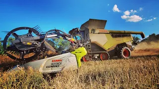 CLAAS LEXION 8600 Harvesting Canola in Michigan (Night time DRONE video)