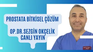 Prostata Bitkisel Çözüm  Kabak Çekirdeği Saw Palmetto Isırgan Otu