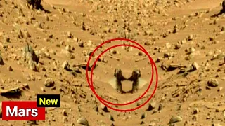 NASA Mars Perseverance Rover Detected Shocking Evidence of Life on Mars In 4K Capture 360°Footage.?