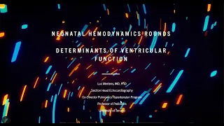 The Determinants of Ventricular Function