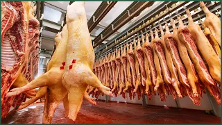 Modern Pig Farming Technique - Pork Cutting Automatic Line Machines - Fresh Pork Production Process