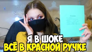 Проверяю рабочие тетради по русскому языку - 3 класс #17