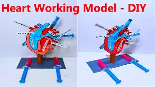 heart working model science project using syringes for school science exhibition | DIY pandit