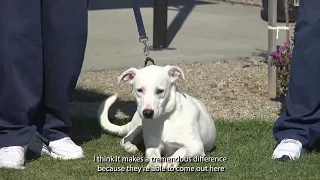 Valley State Prison unveils new dog park