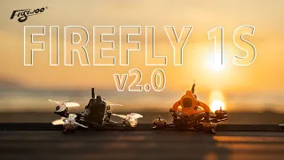 ☀ Крошечные дроны для больших дядь [Flywoo Firefly v2.0]