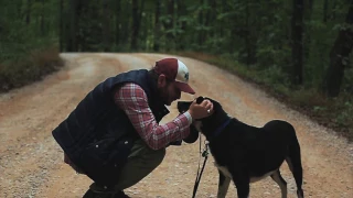 "Chasing Butterflies" (Song for my dog )- Frankly Speaking