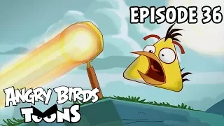 Angry Birds Toons | Fired Up - S1 Ep36