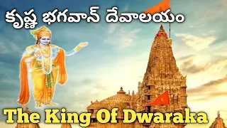 Exploring the powerful  Dwarkadhish Temple | The Land of Krishna | King of Dwaraka| Hare Krishna 🙏