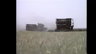 Z Crew - The Early Years Wheat Harvest 1988 (part 2) Massey Ferguson combines