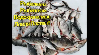 Ловля Плотвы!!!Рыбалка на Рыбинском Водохранилище!!!
