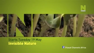 Trailer: Viasat Nature: Невидимая природа /  უხილავი ბუნება (2012)