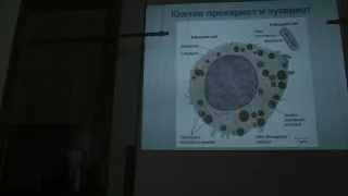 Механизмы адаптации животных к экстремальным температурам. Часть 1. Рубцов А.М. 11.04.2015 edit