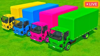 TRUCKS OF COLORS ! ISUZU TRUCKS AND CANDIES TRANSPORTING  Farming Simulator 22 | LIVE