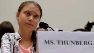 Greta Thunberg ‘making millions’ out of being arrested