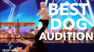 THE BEST DOG AUDITION | Got Talent from Around the World