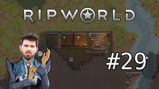 RimWorld #29 mit Matteo