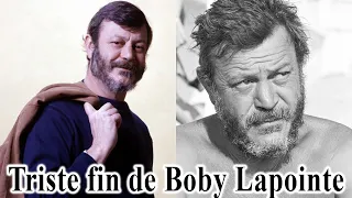 La vie et la triste fin de Boby Lapointe