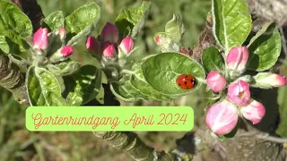 Gartenrundgang | April 2024 | Melanie 🌷