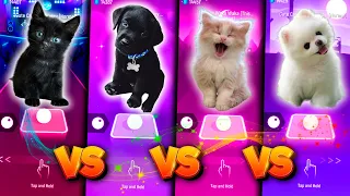 CUTE CAT CUTE DOG LADY GAGA BLOODY MARY VS CUTE CAT CUTE DOG SHAKIRA WAKA WAKA & TILES HOP EDM RUSH