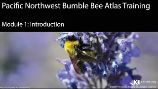 Pacific Northwest Bumble Bee Atlas Training: Module 1 -- Introduction