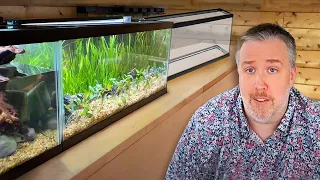 Why I'm Downsizing my Aquariums (and maybe you should too!)