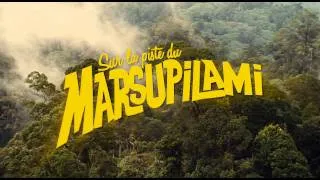 Sur la piste du Marsupilami - Teaser "Carlos"