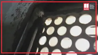 Video from inside Ware State Prison in Georgia shows conditions inside of facility