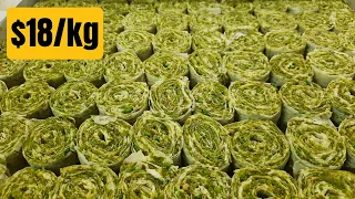 Legendary TURKISH BIRD EYE BAKLAVA. How it is made? Turkish Street Food