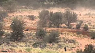 Alice Springs Natural Terrain Rd 1 2014