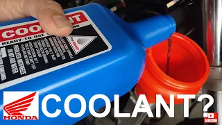 How to Change Coolant on 2003-2006 Honda CBR 600RR SportBike