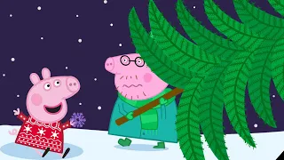 Peppa Pig Italiano 🎄 Peppa Compra Un Albero Di Natale 🎁 Collezione Italiano - Cartoni Animati