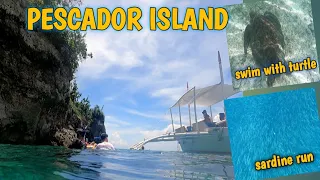 PESCADOR ISLAND, SARDINE RUN AND SWIM WITH TURTLES AT MOALBOAL, Cebu, Philippines