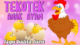 TEKOTEK ANAK AYAM - AYAM BERMAIN - LAGU ANAK ANAK LUCU - LAGU ANAK BALITA INDONESIA - AYAM LUCU