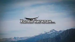 Зайнаб Махаева — Птица души