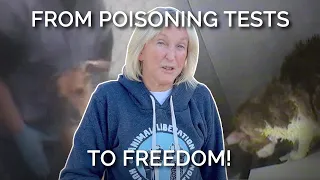 From Poisoning Tests to Freedom!