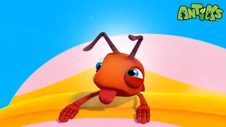 Ants in Love! 💜| ANTIKS | Preschool Learning | Moonbug Tiny TV