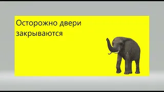 Информатор Калининская линия Новый