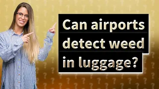 Can airports detect weed in luggage?